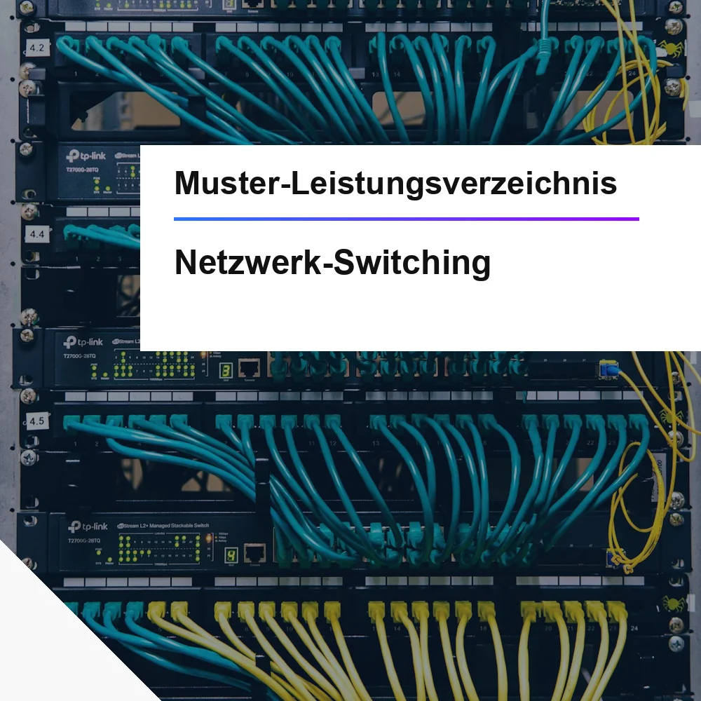 Muster-LV Netzwerk-Switching oeffentliche Ausschreibung